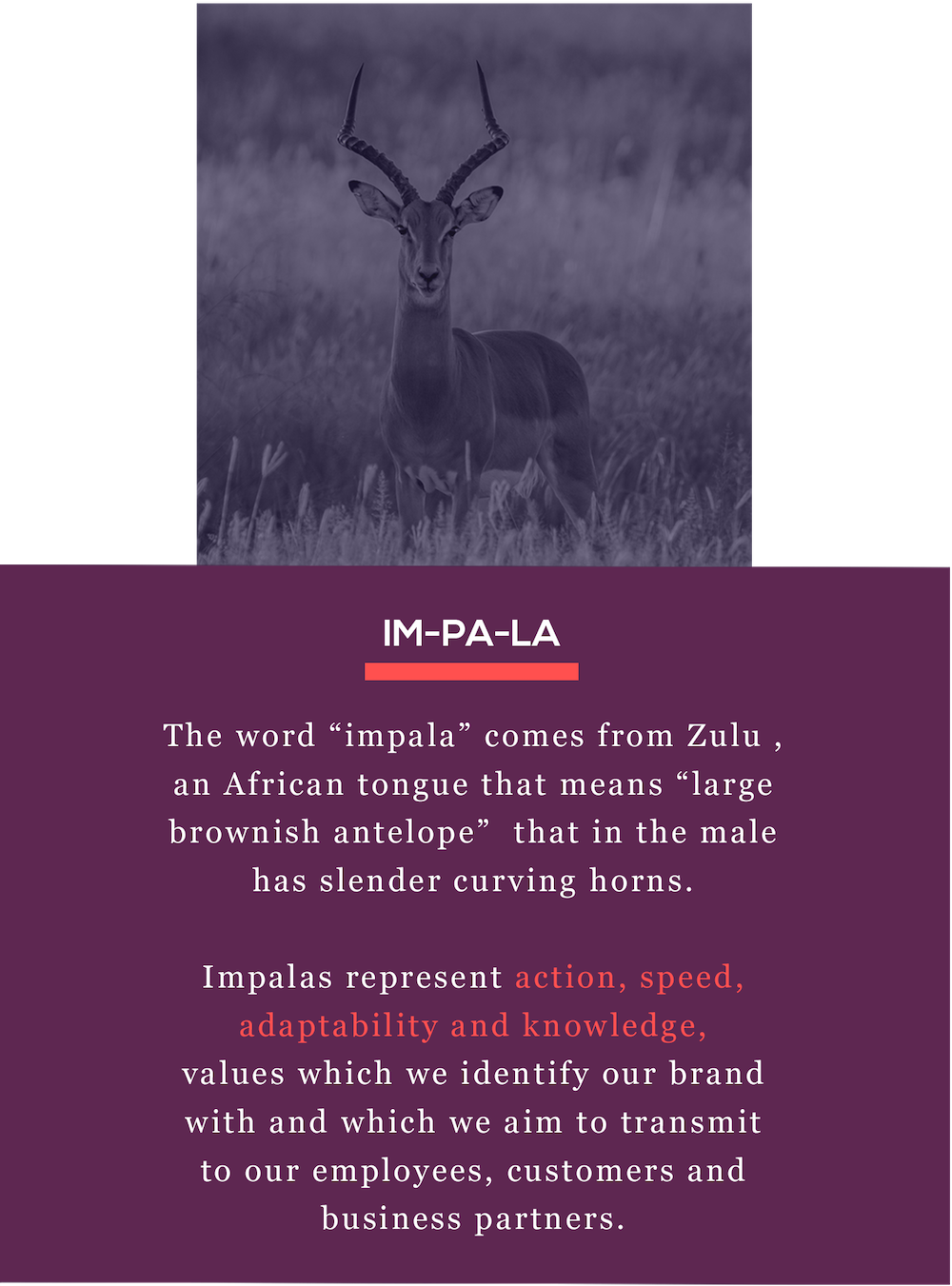 impalakapital
